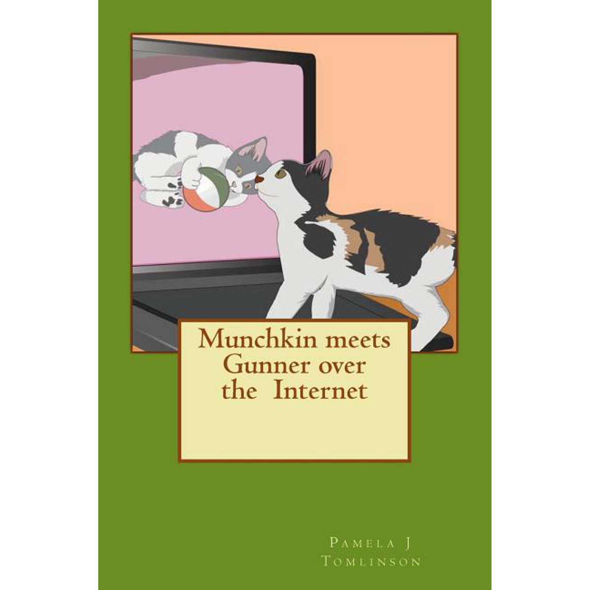 Munchkin meets Gunner over the Internet, (Paperback)