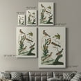 thumbnail image 4 of Antique Birds in Nature I Premium Gallery Wrapped Canvas - Ready to Hang, 4 of 9