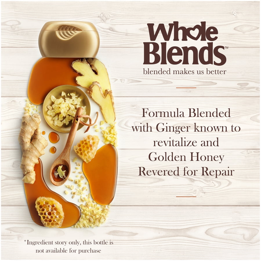 Garnier Whole Blends Ginger Recovery Strengthening Conditioner, 22 fl. oz.