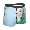 thumbnail image 3 of Bingfone Dog Wrapped In Towel Men'S Underwear - Casual Stretch Boxer Briefs-Xx-Large, 3 of 9