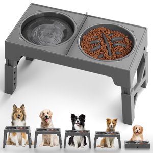 Cshidworld Adjustable Elevated Dog Bowl with Slow Feeder