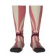 thumbnail image 1 of Fotbe Retro Bow Calcetas Divertidas Estampadas para Hombre y Mujer, Calcetas de Algodón hasta la Rodilla para Caminar, Correr, Enfermería y Embarazo, 1 of 6