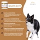 thumbnail image 3 of Masticables Probióticos Petscy para Perros de Todos los Tamaños, 3 of 5