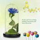 thumbnail image 3 of Lámpara De Rosa De Simulación, Rosa Inmortal, La Bella Y La Bestia, Linterna De Rosa, Flor Eterna, Cubierta De Cristal, Decoración, Decoración De Luz Rosa Yuarrent HA026722-02, 3 of 5