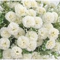 thumbnail image 3 of 2pcs Small Carnation Artificial Flowers,Bulk Silk Fake Flower with Stems for Wedding,Mother's Day Gift, 3 of 5