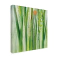 thumbnail image 2 of Trademark Fine Art 'Longstem Bouquet I Square III' Canvas Art by Silvia Vassileva, 2 of 3