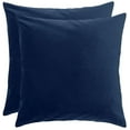 thumbnail image 1 of hometrends Coussin Décoratif en Velours (Ensemble de 2), 1 of 3