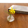 thumbnail image 3 of Fake Plants for Living Room Decor Creative Hydroponic Plant Transparent Vase Frame Coffee Shop Room Decor Vases for Living Room Decorations Plant Decor for Living Room, 3 of 9