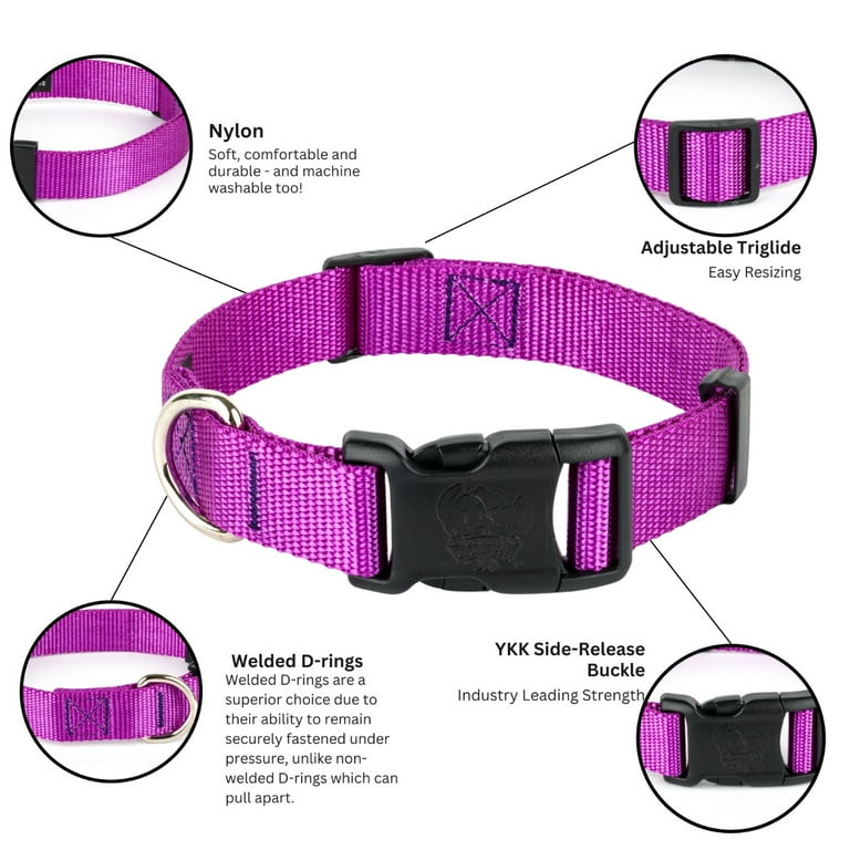 Country Brook Petz® Everyday Bright Purple Nylon Dog Collar