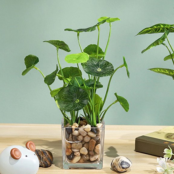 Raindrops Simulated Small Flower Pot Table Plant Bonsai