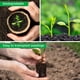 thumbnail image 2 of Paquete de 50 Macetas de Turba 3,15 Pulgadas con 50 Etiquetas para Plantas Macetas de Vivero para Germinación de Jardín Al Aire Libre, Kits de Macetas de Semillas Biodegradables, 2 of 5