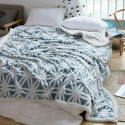 LOMAO Sherpa Fleece Blanket Soft Plush Throw Blanket Dual Sided Cozy Blankets for Bed Couch Sofa(Light Blue,51x63)