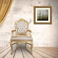 thumbnail image 3 of Studio 2 26x26 Gold Ornate Wood Framed with Double Matting Museum Art Print Titled - Partners IV, 3 of 4