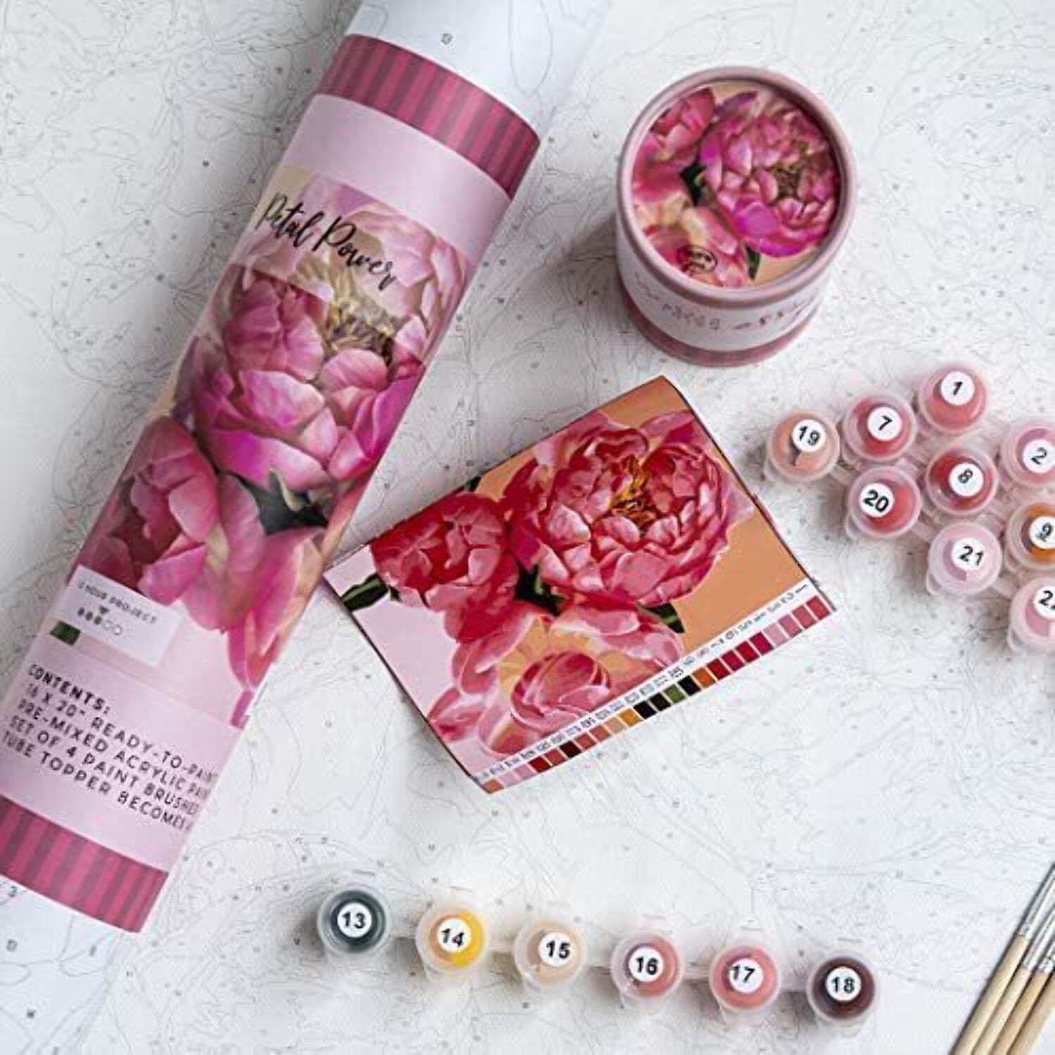 Pink Picasso Petal Power Paint by Number Kit