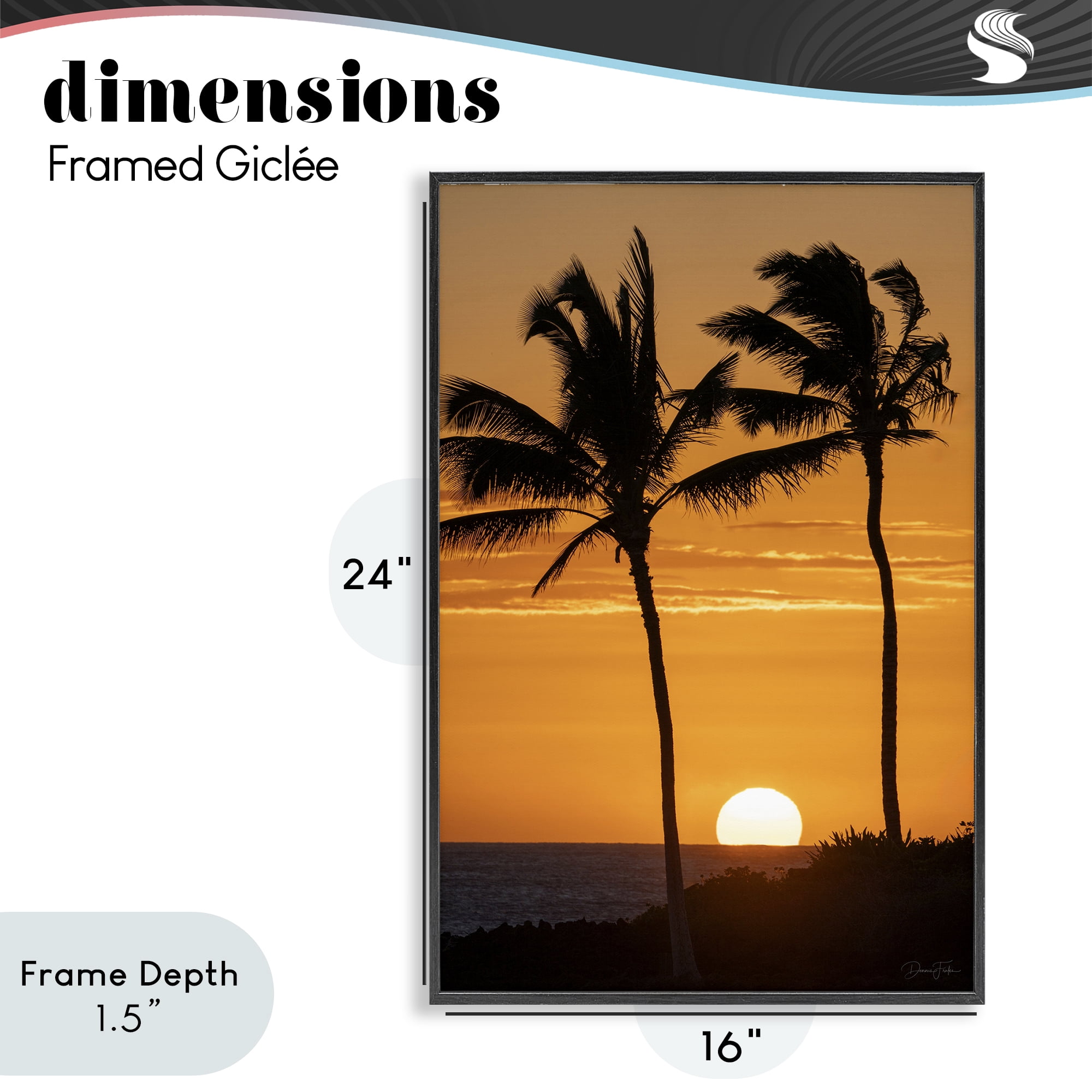 Stupell Industries Sunset Through Palm Trees Black Framed Giclee Art, design by Dennis Frates