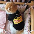 thumbnail image 4 of Flmtop Dog T-shirt Round Neck Wearable Cotton Puppy Two-legged Vest for Spring Purple, 4 of 9