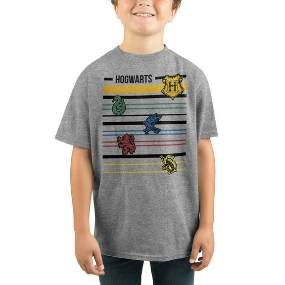 Youth Boys Hogwarts Houses and Crest Graphic Tee-Medium