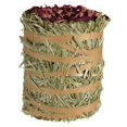 thumbnail image 1 of Mini Pacas Field&Forest heno Timothy Gold con con rosas Kaytee Mini pacas de Heno, 1 of 3