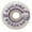 White/Purple, variant on Spitfire Burners Skateboard Wheels 99a 53mm White/Gold