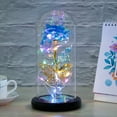 thumbnail image 3 of MTFun Regalos para mujeres Rosa navideña, Flores preservadas Rosa galáctica con decoraciones navideñas LED, Los mejores regalos de Navidad para ella, esposa, novia, niños, Día de San Valentín, Día de, 3 of 7