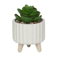 thumbnail image 1 of hometrends Cozby Faux Succulent in Cream Pot, 1 of 5