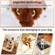 thumbnail image 5 of Juguetes de peluche interior con forma de animal con forma de diente juguetes de Acción de gracias vacaciones de cumpleaños regalos encantadores artículos de regalo tipo 1 seitruly PT000665-01, 5 of 7