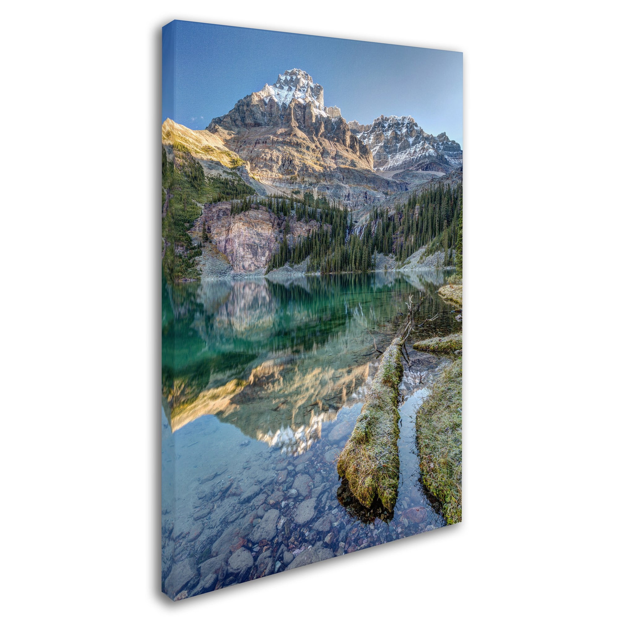 Trademark Fine Art 'Lake O'Hara Scenic Shoreline' Canvas Art by Pierre Leclerc
