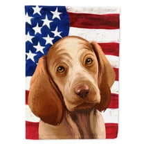 Carolines Treasures CK6456CHF Bracco Italiano Dog American Canvas House Size Outdoor-Flags, Multicolor