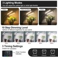 thumbnail image 2 of Plant Grow Light Beah Full Spectrum, paquete de 2, 10 niveles regulables, 2 of 6