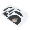 thumbnail image 1 of Ratones 20 Piezas Pegatinas De Pared Con Agujero De Ratón Dibujos Animados Realistas Lindos Para Rodapiés Muebles Cocina Decoración Del Hogar, 1 of 7
