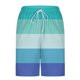 thumbnail image 5 of Pantalones Cortos Casuales para Hombre Imprimir con Bolsillos Pantalones de Playa de Cintura Elástica, Pantalones Cortos de Cintura Elástica para Hombre, 5 of 6