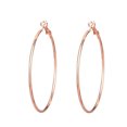 thumbnail image 1 of tredstone 1 Paire Boucles d'Oreilles Femmes Bijoux Exquis Style Simple Boucles d'Oreilles Boucles d'Oreilles Boucles d'Oreilles Boucles d'Oreilles pour la Mode, 1 of 9