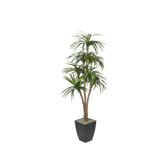 D & W Silks 7' Dracaena Tree in Black Metal Planter