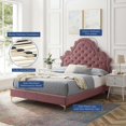 thumbnail image 4 of Tufted Platform Bed Frame, Full Size, Velvet, Pink, Modern Contemporary Urban Design, Bedroom Master Guest Suite, 4 of 10