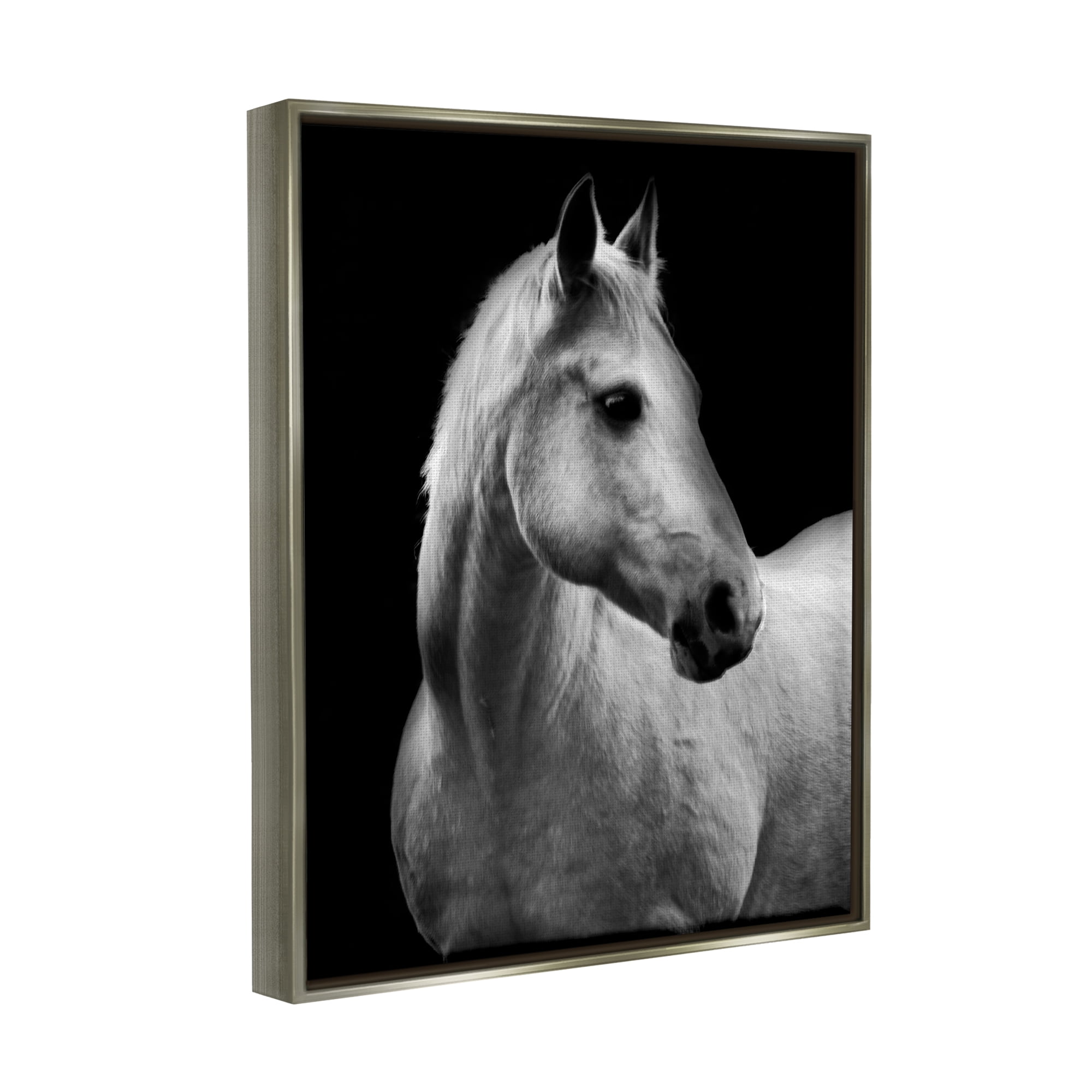 Stupell Industries Horse on Black Portrait Animals & Insects Photography Gray Floater Framed Canvas Art Print Wall Art, 17 x 21