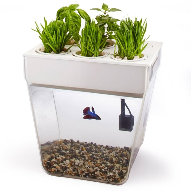 Back To The Roots Water Garden Walmart Com Walmart Com