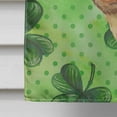 thumbnail image 4 of Carolines Treasures BB9826CHF Dachshund St Patricks Flag Canvas House Size  Large multicolor, 4 of 4
