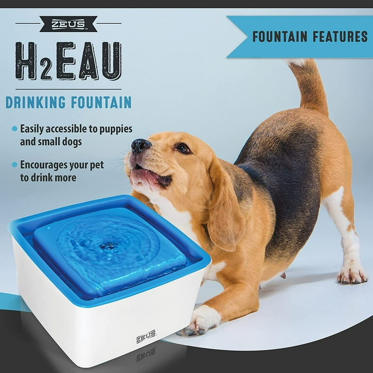 Elevated dog water dispenser sales