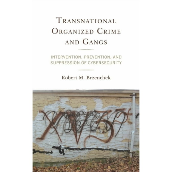 Transnational Organized Crime and Gangs: Intervention, Prevention, and Suppression of Cybersecurity, (Hardcover)