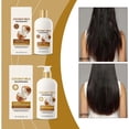 thumbnail image 4 of Champú hidratante anticaspa | Fórmula nutritiva de extracto de jengibre para cabello graso | Reparación profunda y control de aceite | Cuidado Hidratante Suavizante | 237ml | Apto para todo tipo de, 4 of 7