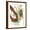 Brown Frame, variant on Art.com Rusted Loops I Stretched Canvas Print Wall Art by Jennifer Goldberger, 12" x 16"