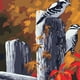 thumbnail image 5 of Pintura por números BLESIY Artesanías Decoración para hogar Selección de 15 Patrones Pájaros y gato, 5 of 7