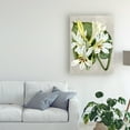 thumbnail image 3 of Trademark Fine Art 'Alabaster Blooms IV' Canvas Art by Curtis, 3 of 3