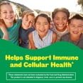 thumbnail image 2 of Suplemento gomoso Lil Critters Immune C Daily Vitamin Kids, 2 of 5