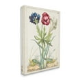 thumbnail image 4 of Stupell Industries Blooming Bulbs & Grasshoppers Botanical & Floral Painting Gallery Wrapped Canvas Art Print Wall Art, 24 x 30, 4 of 8