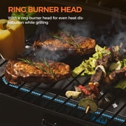 MASTER COOK Portable Gas Grill, 10,000 BTU Outdoor Tabletop BBQ Propane Grill with Foldable Legs for RV, Camping