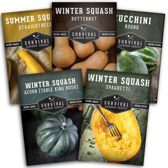 Squash Seed Collection - 5 Packs Winter & Summer Squash Varieties - Full Sun Annual Vegetable Seeds