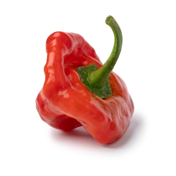 40 Seeds Red JAMAICAN HOT PEPPER Capsicum Annuum Scotch Bonnet Vegetable Seeds