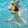 thumbnail image 3 of La bola interactiva del perro juega la bola rodante activa para los perros interiores que despiden el juguete del rompecabezas del animal doméstico de la bola, 3 of 8