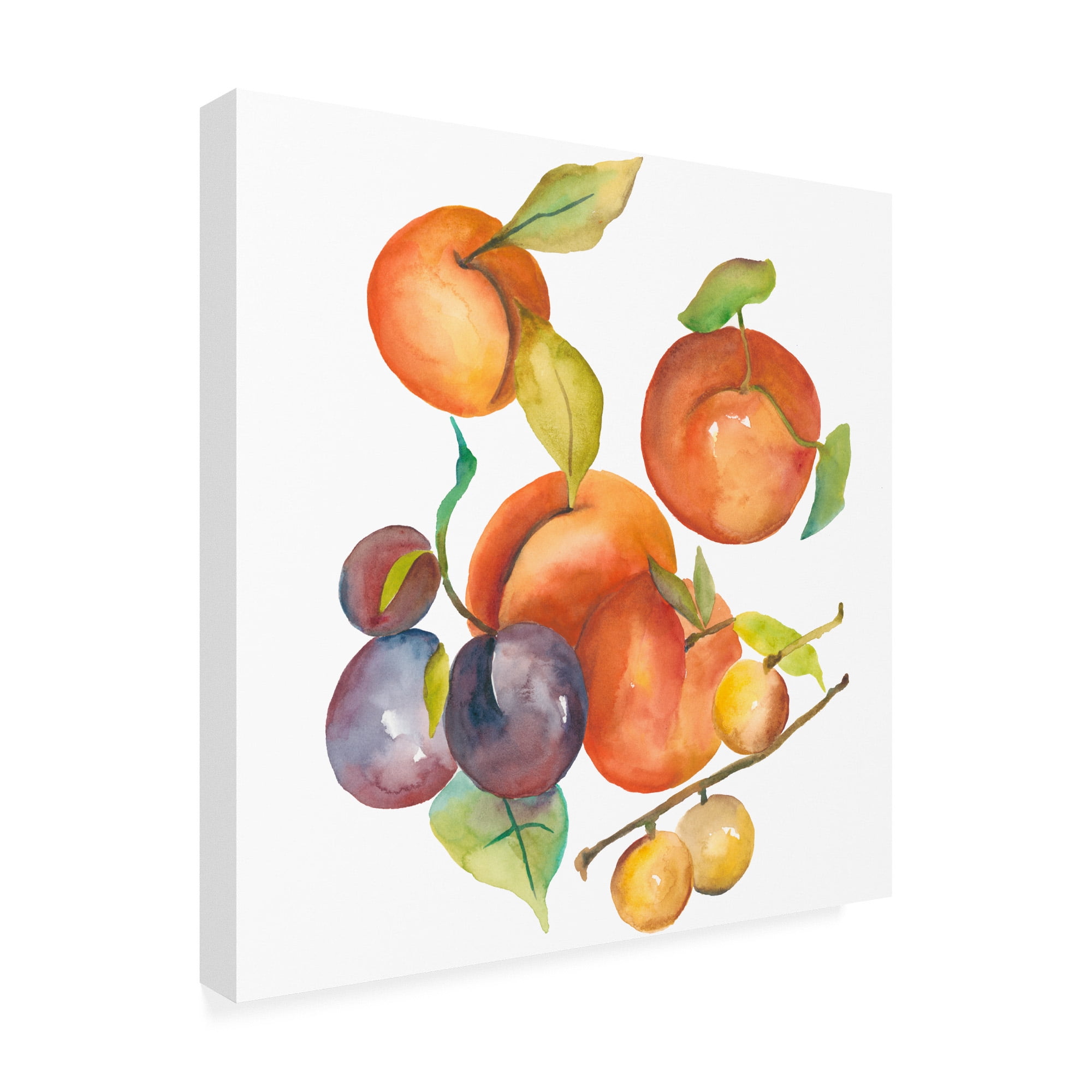 Trademark Fine Art 'Harvest Medley I' Canvas Art by Chariklia Zarris